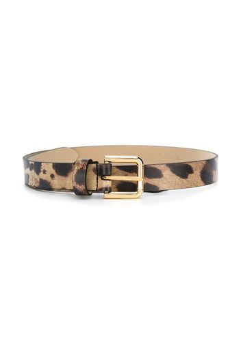 dolce gabbana leopard belt