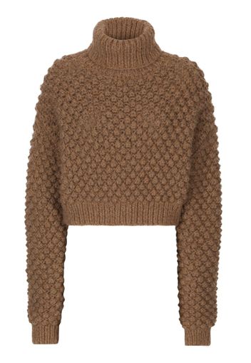 Dolce & Gabbana roll-neck cropped jumper - Brown