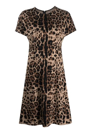 Dolce & Gabbana leopard-jacquard short-sleeved dress - Brown