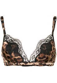 Dolce & Gabbana leopard print bra - Brown