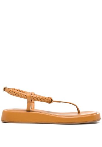 GIABORGHINI x Rosie Huntington-Whiteley 3 flat thong sandals - Brown