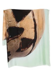Givenchy graphic-print scarf - Brown