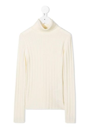 ribbed roll neck jumper