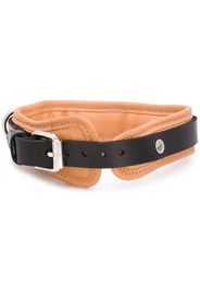 double layer buckle collar