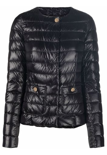 Herno collarless puffer jacket - Black