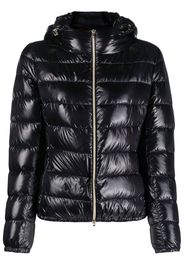 Herno down-feather padded jacket - Black