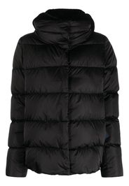 Herno hooded down jacket - Black