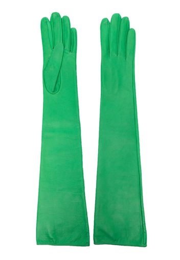 Manokhi elbow-length leather gloves - Green