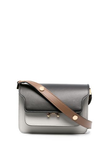 mini Trunk crossbody bag