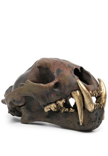 Leopard Skull replica