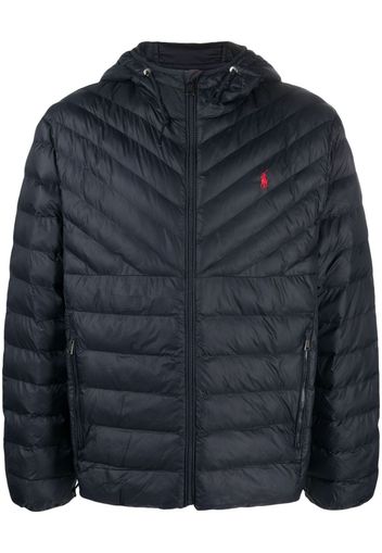 Polo Ralph Lauren Polo Pony padded jacket - Blue