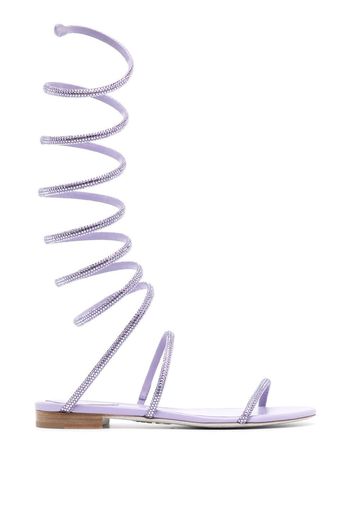 René Caovilla crystal wrap-strap sandals - Purple