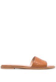 Scarosso Federica sandals - Brown