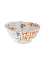 Hybrid Ersilia salad bowl