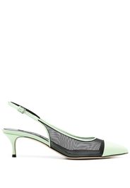 Sergio Rossi mesh-panelling pointed-toe pumps - Black