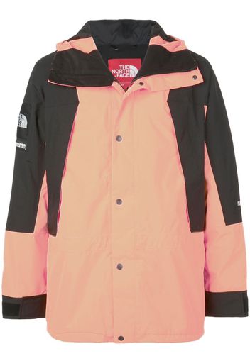 TNF Mountain Light Jacket