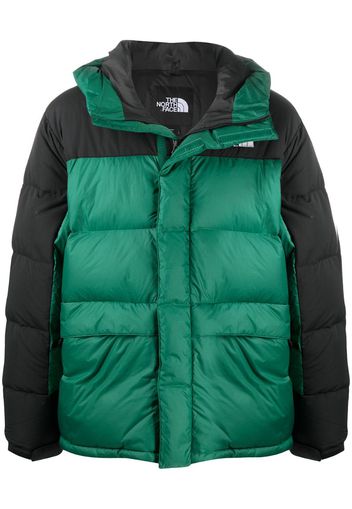 north face two tone jacket