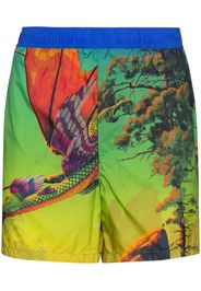 Dragon At Dawn print swim shorts