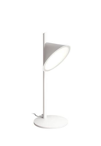 Orchid Table Lamp