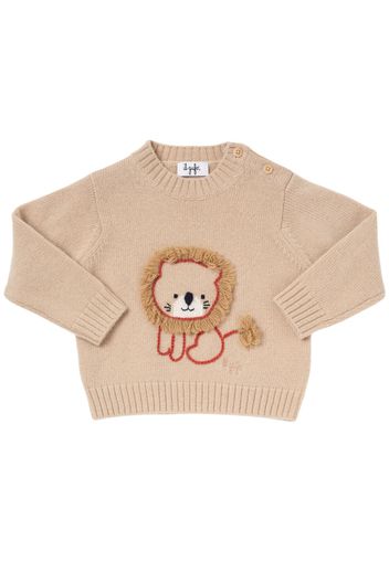 Embroidered Wool Knit Sweater