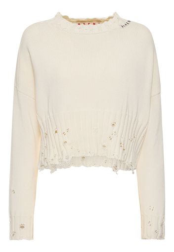 Distressed Ribbed Cotton Crop Sweater