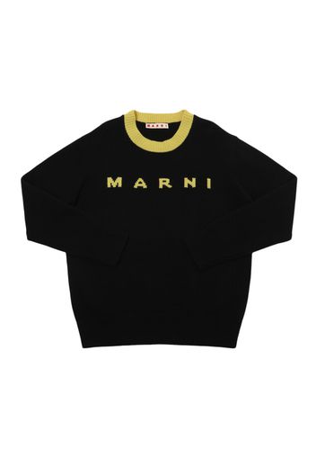 Wool & Cashmere Knit Sweater W/logo