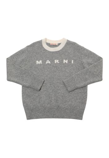 Wool & Cashmere Knit Sweater W/logo