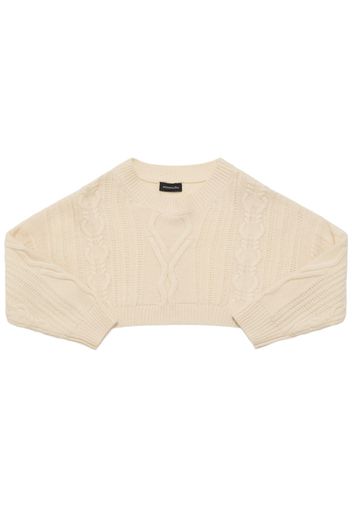 Wool Blend Knit Cropped Sweater