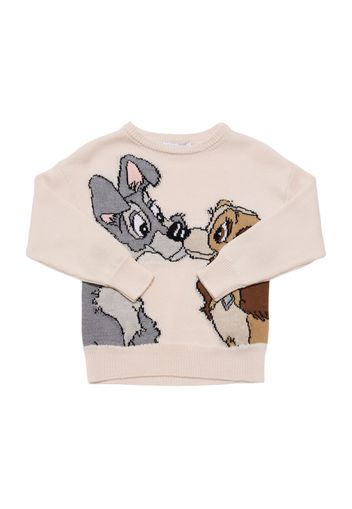 Lady And The Tramp Knit Sweater