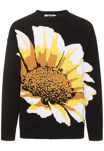 Daisy Intarsia Cotton Knit Sweater