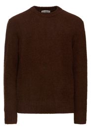 Wool Knit Crewneck Sweater