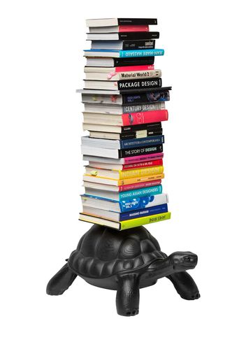 Turtle Carry Bookcase