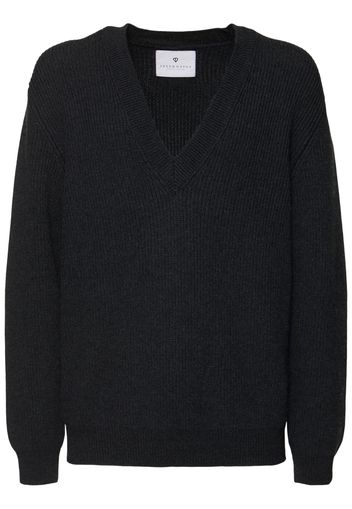 English Rib Wool Knit V-neck Sweater