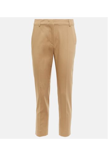 Lince slim cotton pants