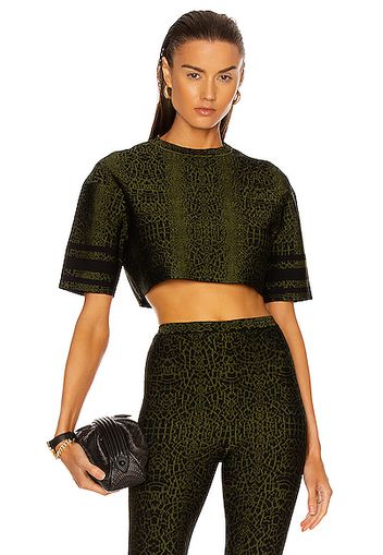 ALAÏA Animalier Top in Green