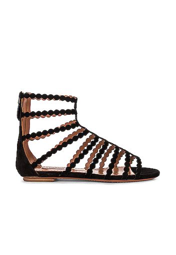 ALAÏA Cage Sandals in Black