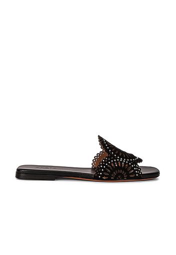 ALAÏA Perforated Molukai Mules in Black