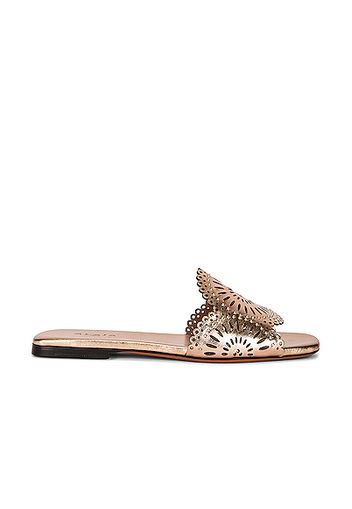 ALAÏA Perforated Molukai Mules in Metallic Gold