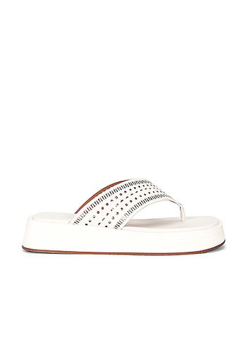 ALAÏA Vienne Plastron Thong Sandals in White