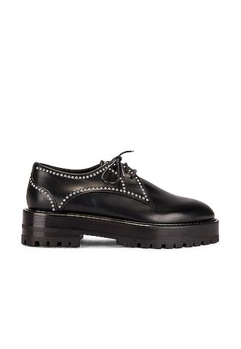 ALAÏA Eyelet Derby Loafers in Black