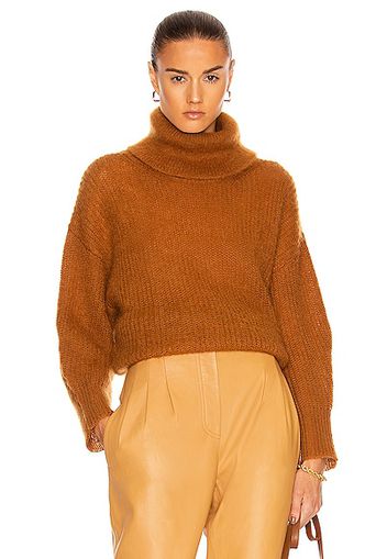 ALBERTA FERRETTI Mohair Turtleneck Sweater in Brown