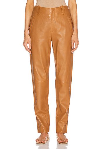 ALBERTA FERRETTI Leather Skinny Pant in Brown,Neutral