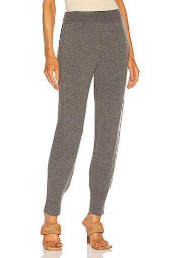 ALBERTA FERRETTI Slim Jogger in Grey