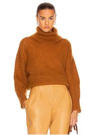 ALBERTA FERRETTI Mohair Turtleneck Sweater in Brown