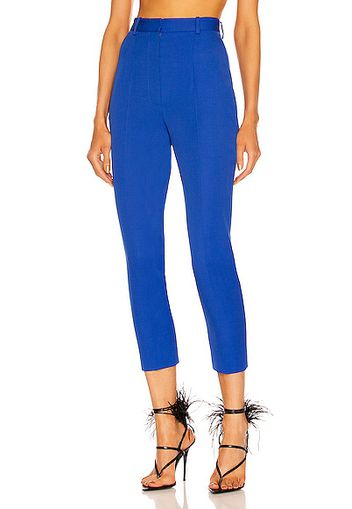 Alexander McQueen Skinny Pant in Blue