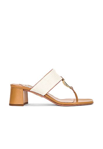 Aquazzura Ring 50 Sandal in Ivory