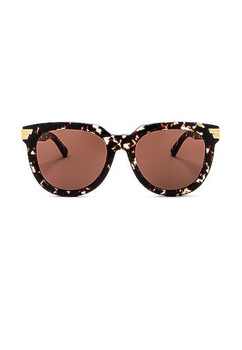 Bottega Veneta Acetate Feminine Sunglasses in Brown