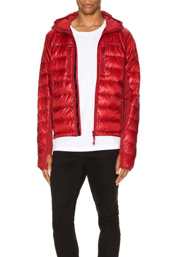 Canada Goose Hybridge Lite Hoody in Red