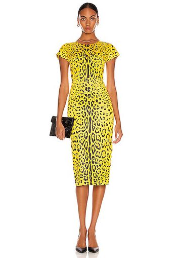 Dolce & Gabbana Short Sleeve Midi Dress in Yellow