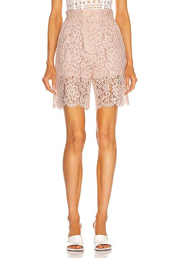 Dolce & Gabbana Lace Short in Pink